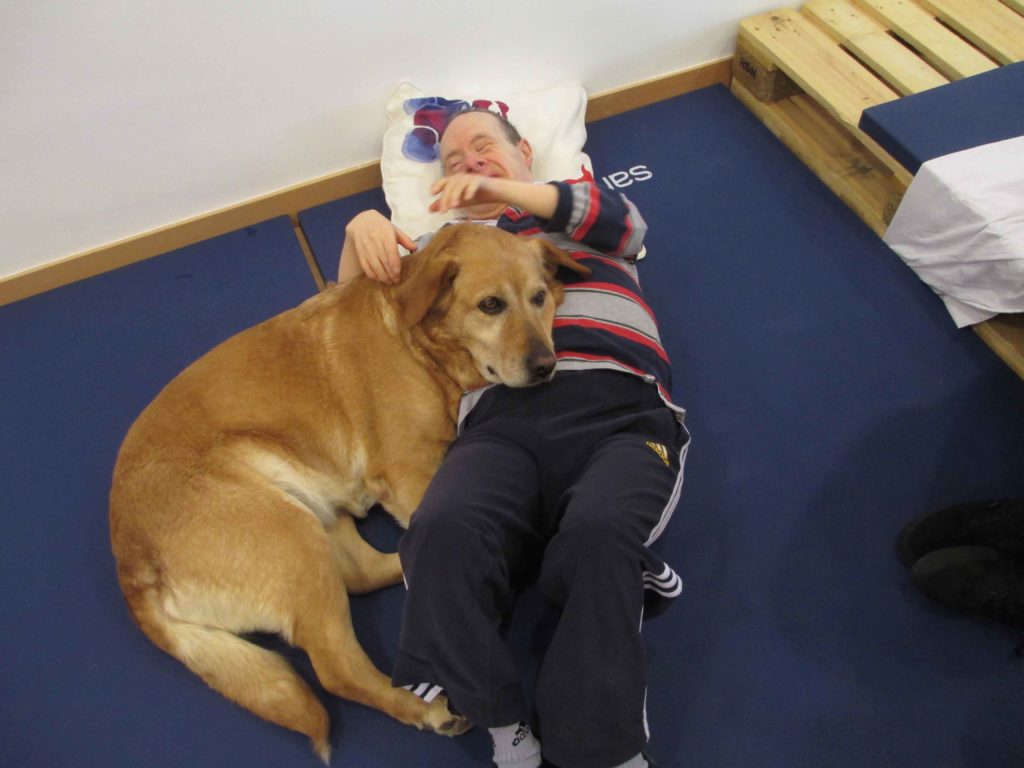 Terapia canina 1 ASPACE Zaragoza 2015